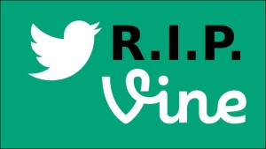 r-i-p-vine-you-wont-be-missed1